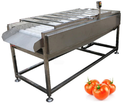 Betriebsausrüstung der Lebensmittelverarbeitungs-500kg/h, Gemüsefrucht-Bürsten-Waschmaschine