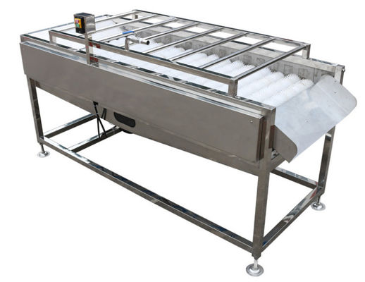 Betriebsausrüstung der Lebensmittelverarbeitungs-500kg/h, Gemüsefrucht-Bürsten-Waschmaschine
