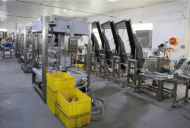 Füllungs-mit einer Kappe bedeckende Maschine der Flaschen-20KW, automatische 1.2T Schrumpfverpackungs-Maschine