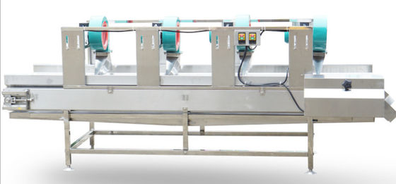 Trompete lufttrocknen Nahrungsmittelmaschine 500kg/h für Frucht-Gemüse-Fleisch