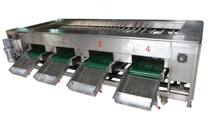Sortierende Maschine der Mango der sortierenden Maschine Longan Sortiermaschine der Kartoffel für Bauernhof